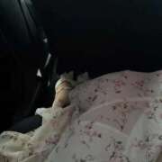 ヒメ日記 2026/04/30 17:19 投稿 菊川ほなみ MIRAI TOKYO 新宿店