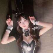 ねこ ねぇ、しよ？🎀 Gossip girl
