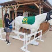 ヒメ日記 2026/09/27 17:19 投稿 ゆりか モアグループ 土浦人妻花壇