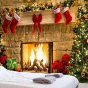 ヒメ日記 2024/12/21 16:59 投稿 入江 品川やすらぎ