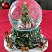 ヒメ日記 2024/12/24 11:56 投稿 入江 品川やすらぎ