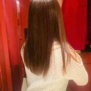 ヒメ日記 2025/02/21 11:10 投稿 入江 品川やすらぎ