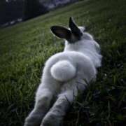 ヒメ日記 2025/05/16 18:27 投稿 入江 品川やすらぎ