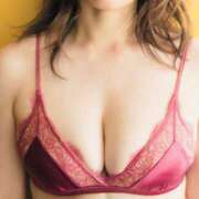 ヒメ日記 2025/06/17 06:16 投稿 入江 品川やすらぎ