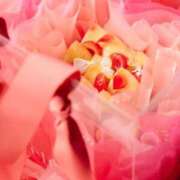 ヒメ日記 2025/06/18 06:48 投稿 入江 品川やすらぎ