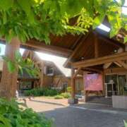 ヒメ日記 2025/06/29 20:47 投稿 入江 品川やすらぎ