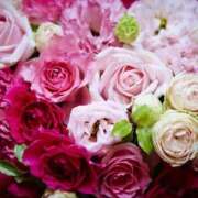 ヒメ日記 2025/06/30 19:05 投稿 入江 品川やすらぎ