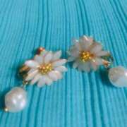 ヒメ日記 2025/07/16 05:47 投稿 入江 品川やすらぎ