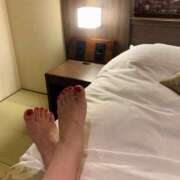 ヒメ日記 2025/08/11 05:17 投稿 入江 品川やすらぎ