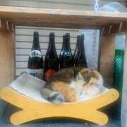 ヒメ日記 2025/10/05 05:16 投稿 入江 品川やすらぎ