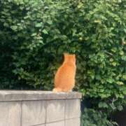 ヒメ日記 2025/10/19 07:18 投稿 入江 品川やすらぎ