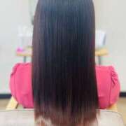 ヒメ日記 2025/10/26 05:19 投稿 入江 品川やすらぎ