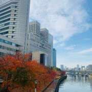 ヒメ日記 2025/11/25 08:59 投稿 入江 品川やすらぎ