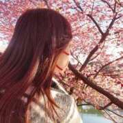 ヒメ日記 2026/02/19 05:21 投稿 入江 品川やすらぎ