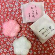 ヒメ日記 2026/03/03 06:18 投稿 入江 品川やすらぎ