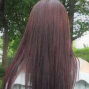 ヒメ日記 2026/03/12 19:33 投稿 入江 品川やすらぎ