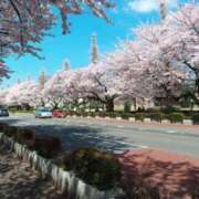 ヒメ日記 2026/04/04 07:22 投稿 入江 品川やすらぎ