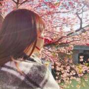 ヒメ日記 2026/04/11 17:58 投稿 入江 品川やすらぎ