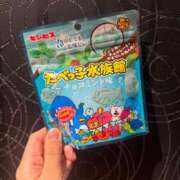 ヒメ日記 2026/08/31 15:16 投稿 ヒカリ エピソード(品川)