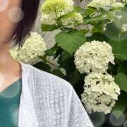 ヒメ日記 2026/06/04 17:53 投稿 金澤 ともみ La elf（ラ・エルフ）