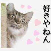 ヒメ日記 2026/10/17 12:45 投稿 金澤 ともみ La elf（ラ・エルフ）
