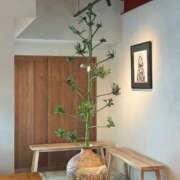ヒメ日記 2026/07/14 07:15 投稿 華奈まりあ(はなまりあ) Montrachet(モンラッシェ)