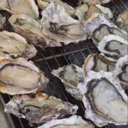ヒメ日記 2026/07/23 07:45 投稿 華奈まりあ(はなまりあ) Montrachet(モンラッシェ)
