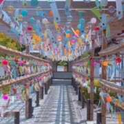 ヒメ日記 2026/08/06 07:05 投稿 華奈まりあ(はなまりあ) Montrachet(モンラッシェ)