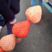 ヒメ日記 2026/04/27 11:29 投稿 ことり オナクラ マスカット倶楽部