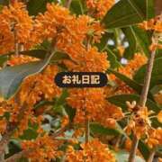 ヒメ日記 2026/10/07 01:59 投稿 みつ OKINI立川