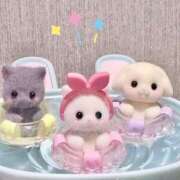 ヒメ日記 2026/09/19 05:00 投稿 ゆあ潮吹き合法ロリ ぽちゃぱい
