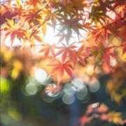 ヒメ日記 2026/10/06 05:47 投稿 美作(みまさか) 人妻出逢い会 百合の園 山の手本店