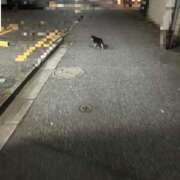 ヒメ日記 2026/06/25 17:09 投稿 さや アラカルト