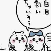 ヒメ日記 2026/08/12 21:51 投稿 三上　さつき ナディア（奈良）