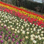 ヒメ日記 2026/05/23 22:17 投稿 みい 甲府人妻隊