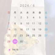 ヒメ日記 2026/06/20 23:22 投稿 ちとせ 川崎人妻城