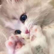 さき 😻 スピードエコ梅田店