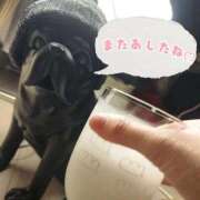 ヒメ日記 2026/05/18 23:18 投稿 ゆあ【MTX】【体験入店】 ソープランド AQUA（アクア）