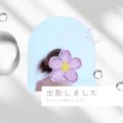 ヒメ日記 2026/04/28 11:21 投稿 神崎　凛 五十路セレブ