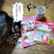 ヒメ日記 2026/05/20 04:48 投稿 ミズキ 千葉★出張マッサージ委員会Z
