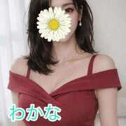 ヒメ日記 2026/04/28 17:49 投稿 わかな 横浜おかあさん