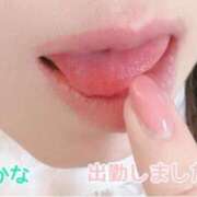 ヒメ日記 2026/05/07 10:24 投稿 わかな 横浜おかあさん
