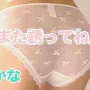 ヒメ日記 2026/05/07 20:50 投稿 わかな 横浜おかあさん