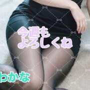 ヒメ日記 2026/05/11 12:15 投稿 わかな 横浜おかあさん