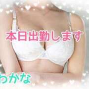 ヒメ日記 2026/07/25 06:55 投稿 わかな 横浜おかあさん