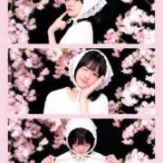 そう ご報告🐨💫 ムーランルージュ
