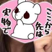 ヒメ日記 2026/04/30 01:41 投稿 きさら 横浜Cute