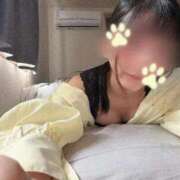 ヒメ日記 2026/05/09 11:07 投稿 みさき 秋葉原鑑賞ガール