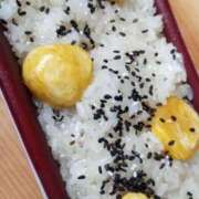 ヒメ日記 2026/07/03 07:45 投稿 けいな 渋谷おかあさん