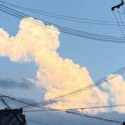 ヒメ日記 2026/07/25 19:08 投稿 ゆか 熟女家 十三店